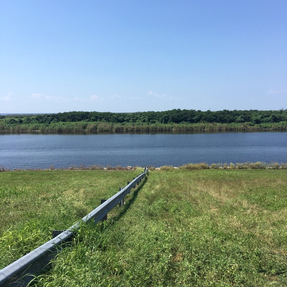 Meet your Posher, Lilliam